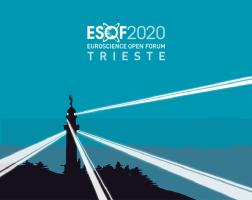 ESOF 2020
