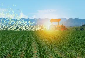 Expert Workshop on a Common European Agricultural Data Space