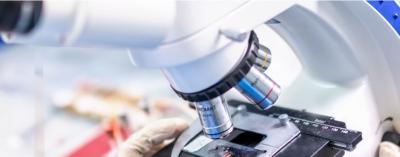 Graphene Week 2021